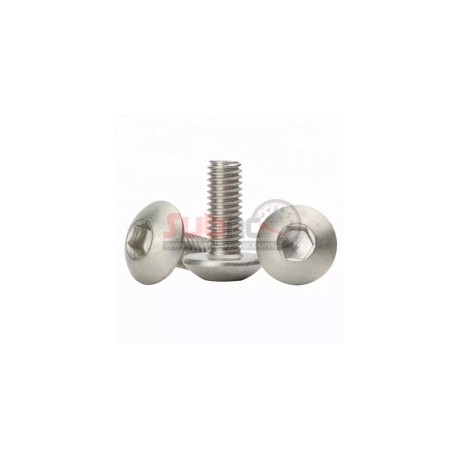 SBRC-S001 BUTTON HEAD STAINLESS STEEL 2X4MM 1.3MM HEX 10PCS